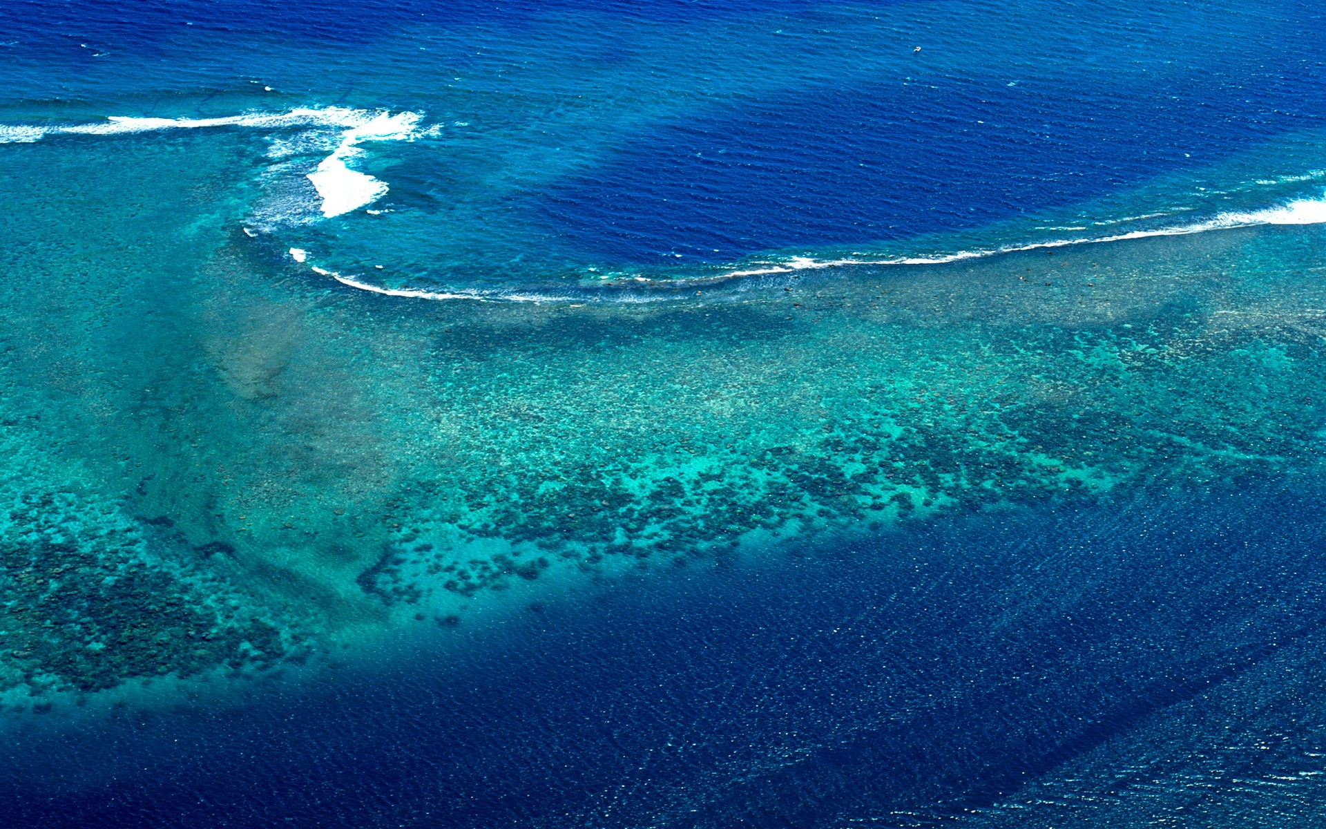 塔希提岛秘鲁,塔希提岛moon