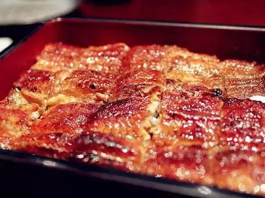 鳗鱼灭绝了么,鳗鱼在慢慢灭绝吗