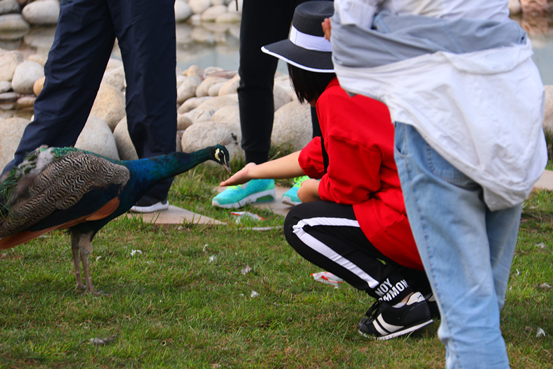 司徒小镇景区栖嬉园,山西司徒小镇栖嬉园