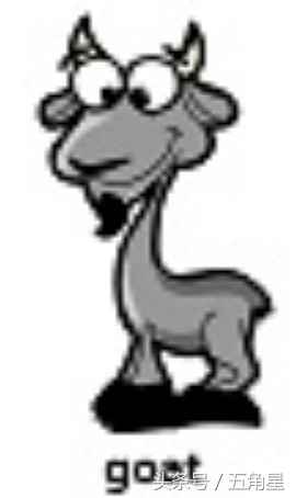 30个动物英语单词视频,动物的英语单词常见100个