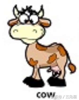 20个动物英语单词,2-8岁儿童学动物英文单词