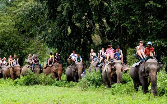 从上海去泰国跟团游一般多少钱,泰国3000的跟团游靠谱吗