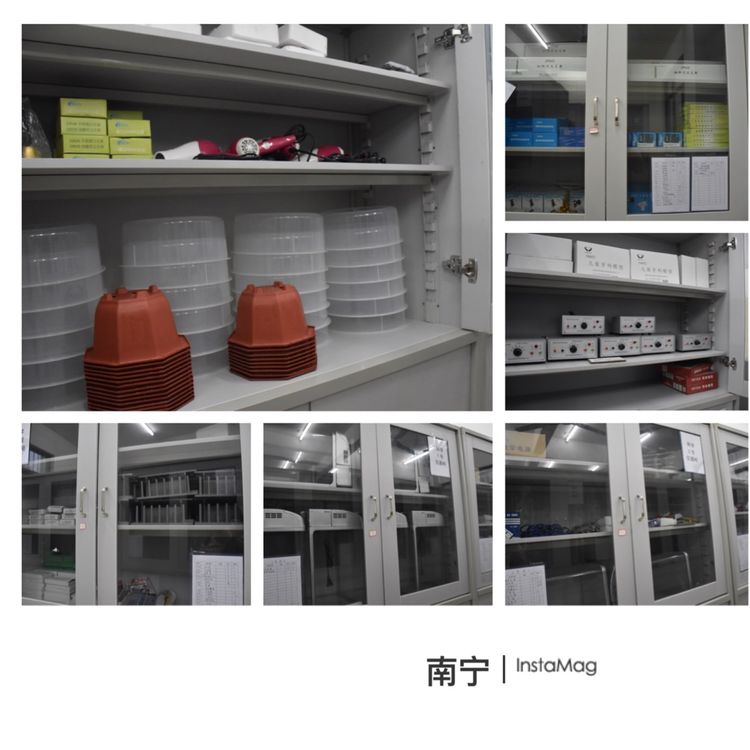 学生成长的沃土师生眷恋的乐园一一八桂绿城小学2017年工作汇报