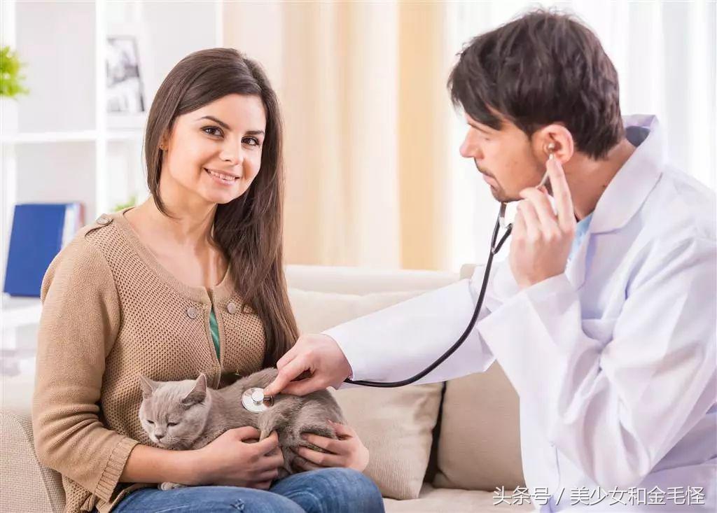 狗狗得莱姆病怎么治疗,人畜共患传染病怎样处理