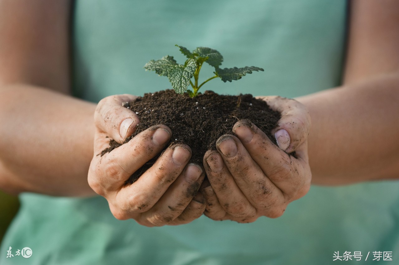 黄帝内经之灵枢经脉篇,黄帝内经认为脾为后天之本