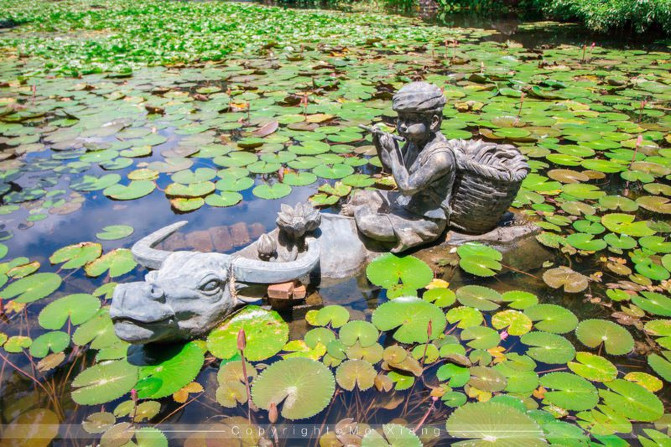 浪漫三亚视频,碧海蓝天椰风海韵浪漫三亚