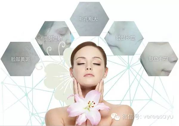 日立n4000产品规格 (日立n4000与n4800)