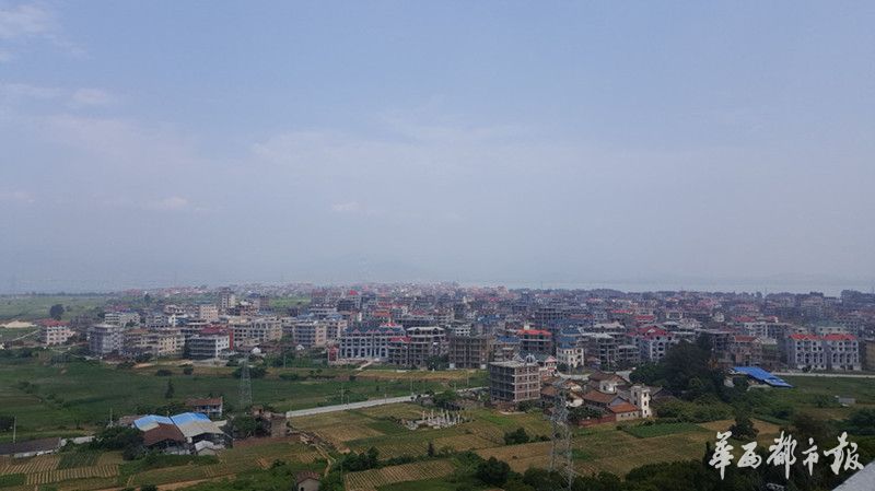 探访医疗行业莆田系“总部”：搞医疗8成人已赚不了钱