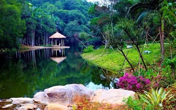 市委书记王蒙徽在厦大说了啥,师生们连连鼓掌