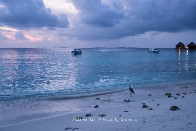 马尔代夫蓝色美人蕉岛,马尔代夫蓝色美人蕉旅游攻略