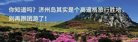 一家四口亲子游酒店推荐儿童房,京郊游景区住宿推荐最新