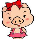 十二生肖运势2016年运势,十二生肖运势2016年运程