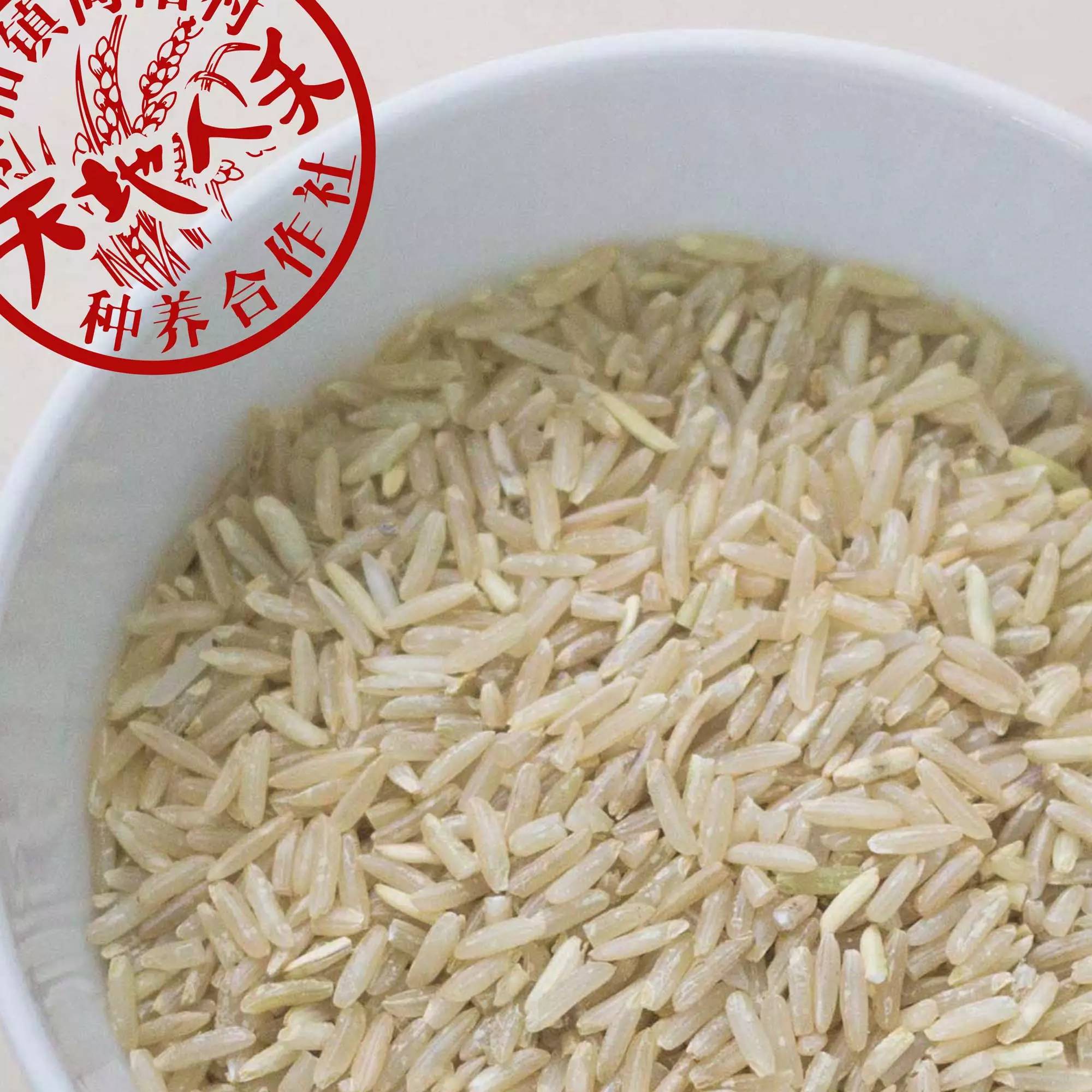 发芽糙米的制作方法,发芽糙米怎样吃最科学