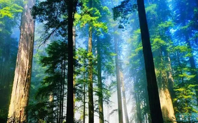 五一杭州千岛湖自驾游攻略,游千岛湖最佳季节