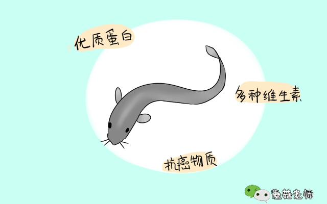 增加精子活力和生精的食物,什么食物有助于精子卵子提升