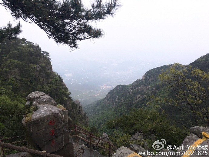 庐山花径公园有哪些花,庐山花径公园是什么意思