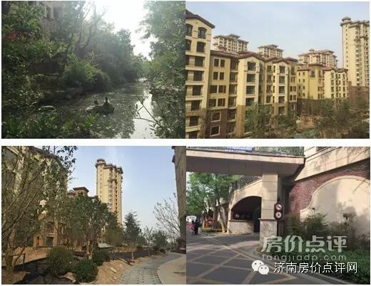 分析师走进蓝石大溪地，帮你收房