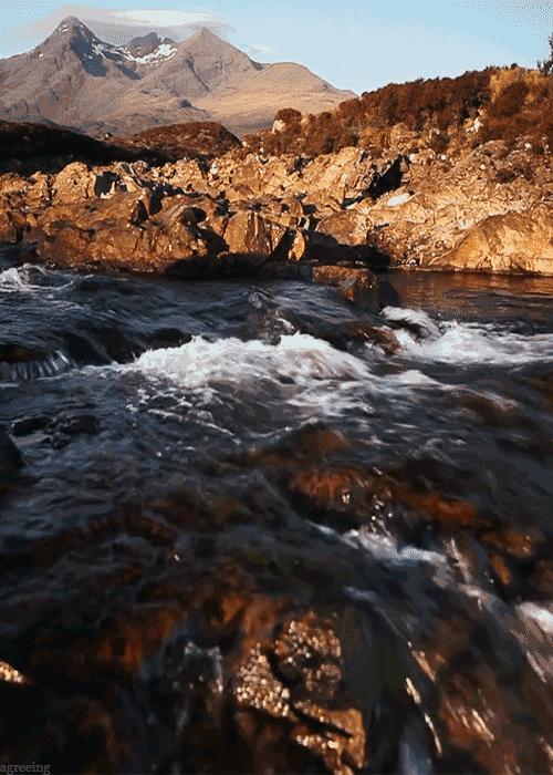 古诗词中的溪水|溪花与禅意相对亦忘言