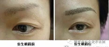 纹眉绣眉雾眉,纹眉绣眉雾眉仿真眉哪个比较好