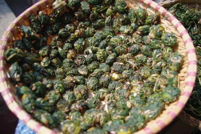 田间小路的野菜,乡间小草竟是中医良药