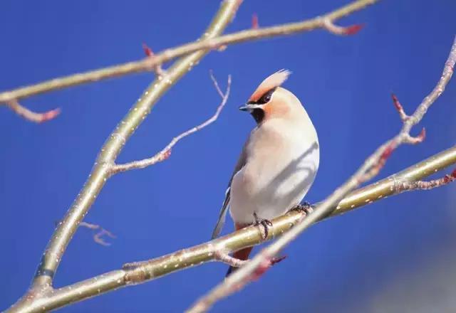 广州洗肺又小众的山水秘境,广州清幽景点