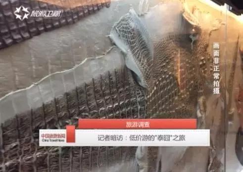 鳄鱼毒蛇、皇家珠宝，欢迎来到疯狂购物城！|独家