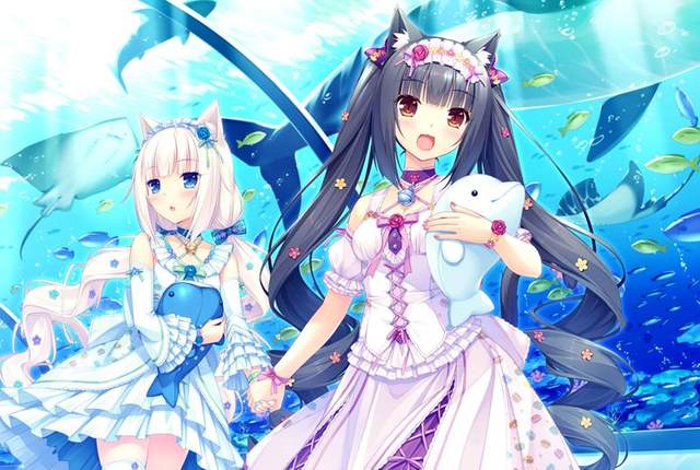 惊人的《NEKOPARA》销量达成50万片爱猫的力量太强大
