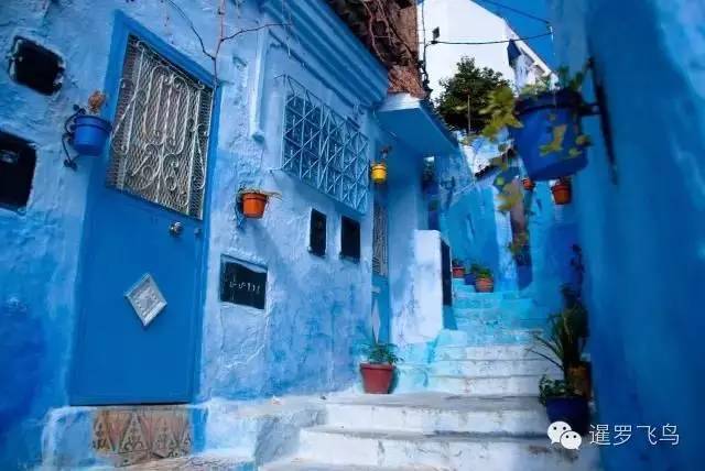 LP年度最佳三毛最爱北非后花园摩洛哥免签啦！