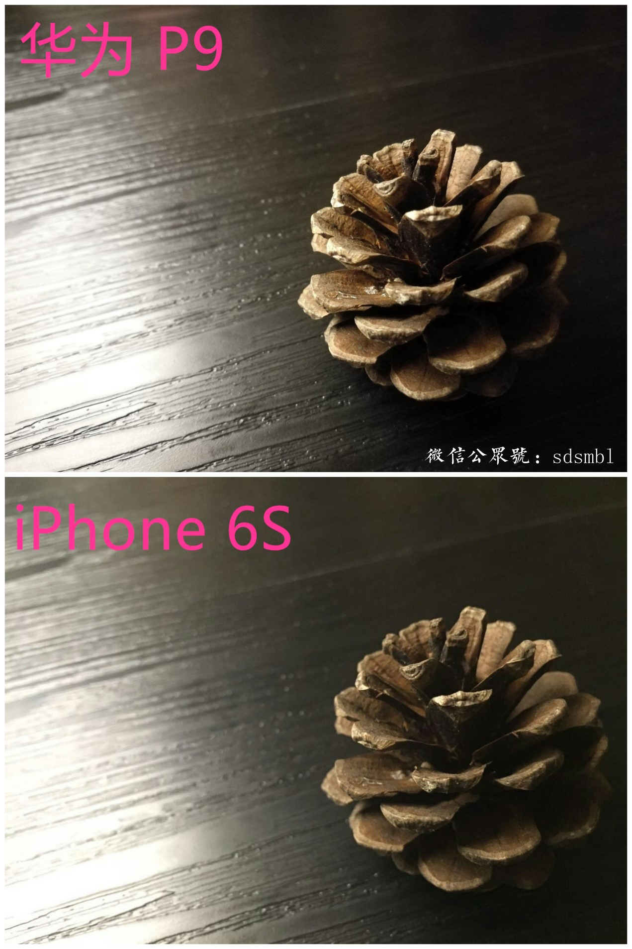 徕卡德味！华为P9和iPhone6S拍照对比