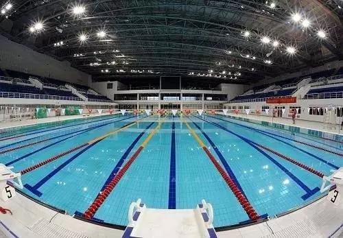 广州哪家游泳馆便宜又干净,广州东湖游泳馆开放时间
