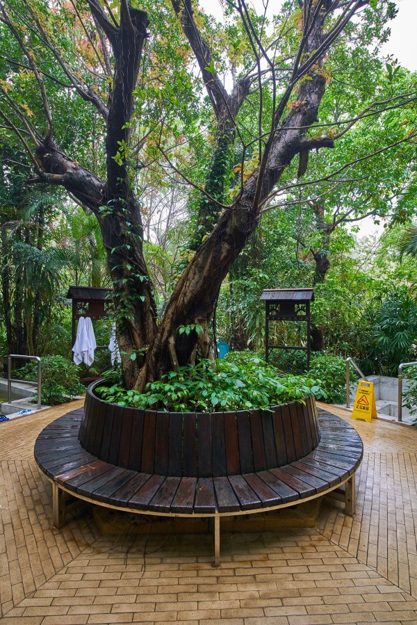 从化温泉之旅,从化文轩苑温泉攻略