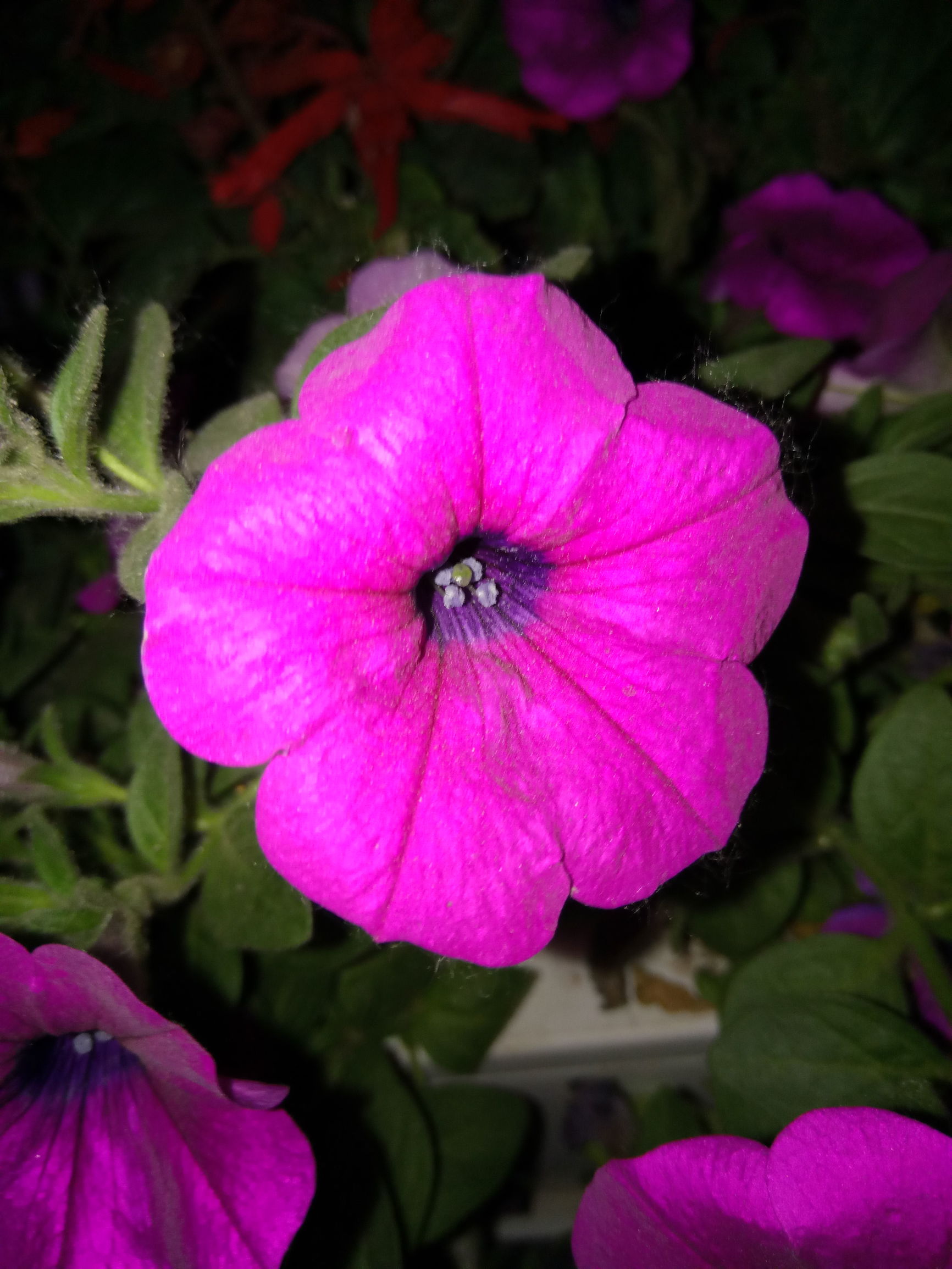 乐视2参数详解,乐视2介绍