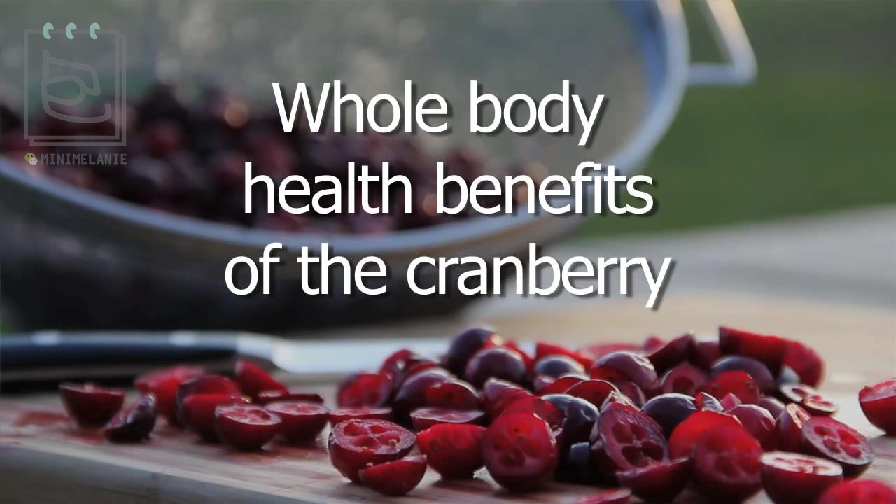 北美的红宝石蔓越莓,蔓越莓北美红宝石