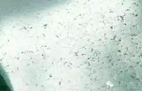 砖家的话到底该不该信,专家一席话评论