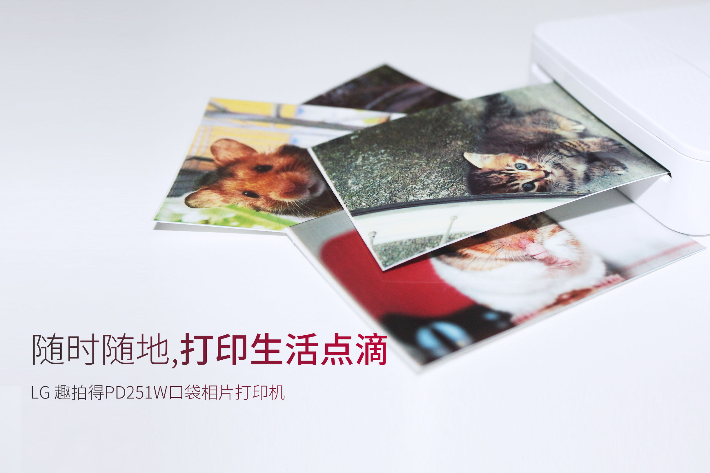 口袋照片打印机测评,口袋照片打印机1寸照片