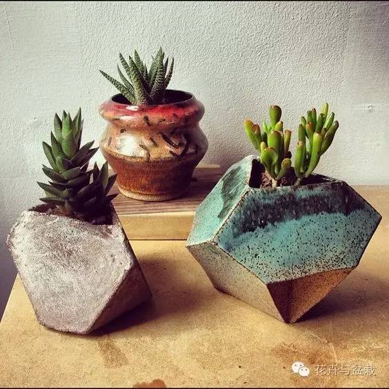 哪些植物吸收甲醛和防辐射,电脑旁边放什么植物防辐射最好