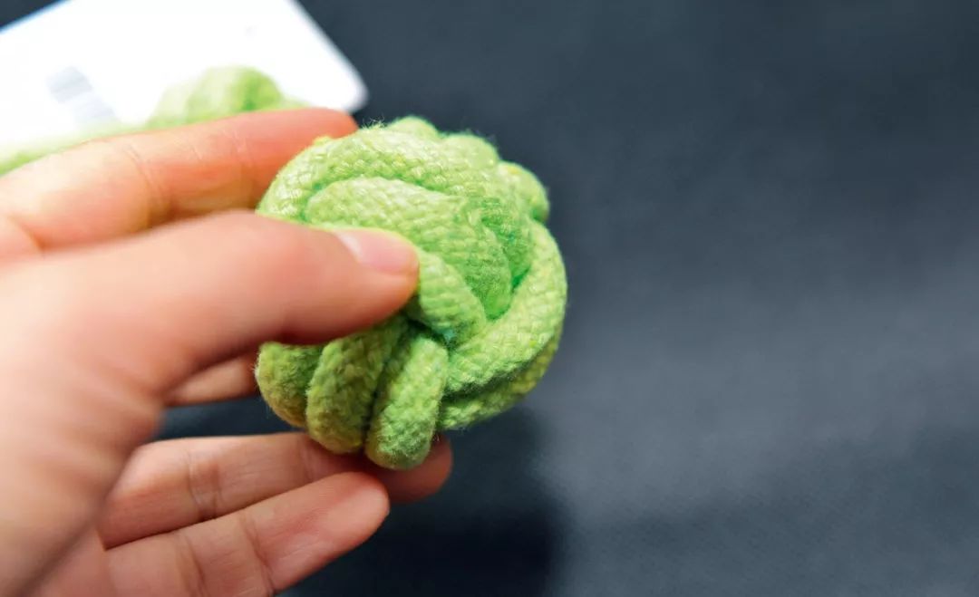 柴犬实测7款玩具：网络上的热门款玩具适合它玩耍吗？