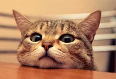 「您的安全“回程票”已寄到」飞机高铁长途汽车，春运的大部队已经出发