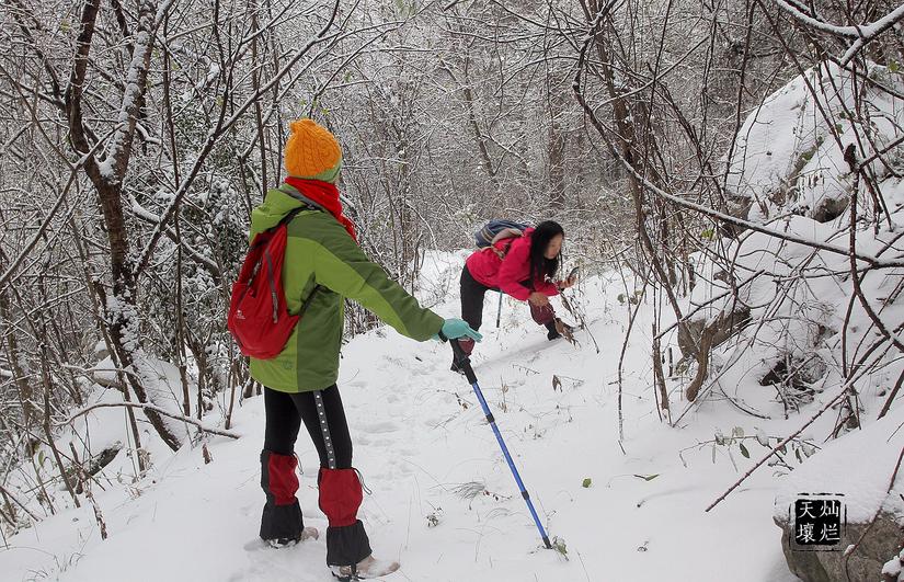 赏雪何须去北国,赏雪不用去远方