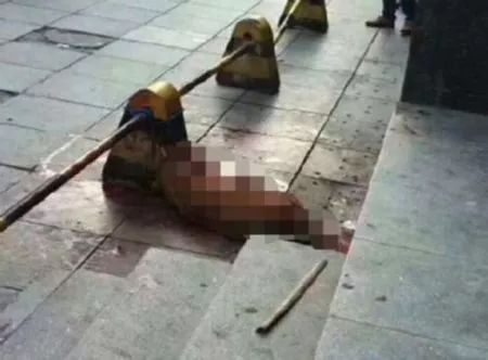 太原打死金毛事件的处理结果,要人命