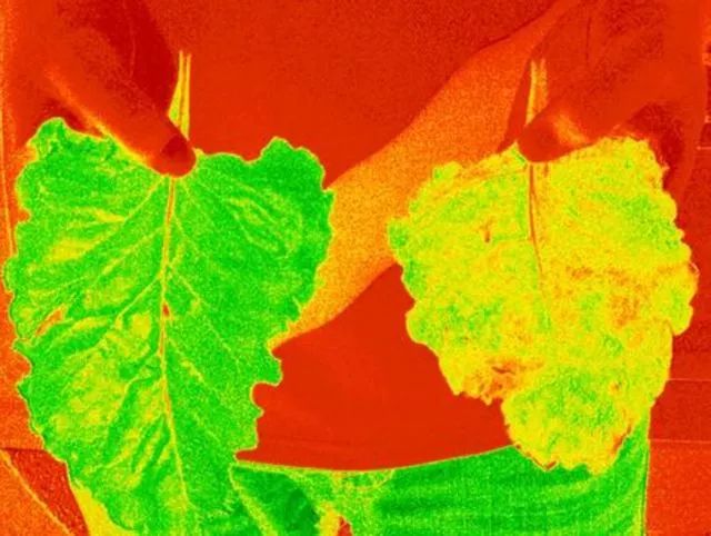 球场管理,让数据说话!