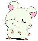 眼睛疲劳看东西模糊上面还有血丝,眼睛疲劳出血丝怎么缓解