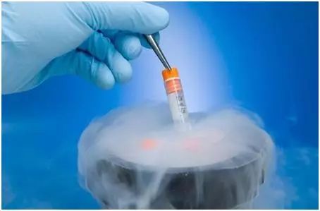 二次元弹幕文化发源地药丸?传A站服务器或将被关闭|小桔妹播报