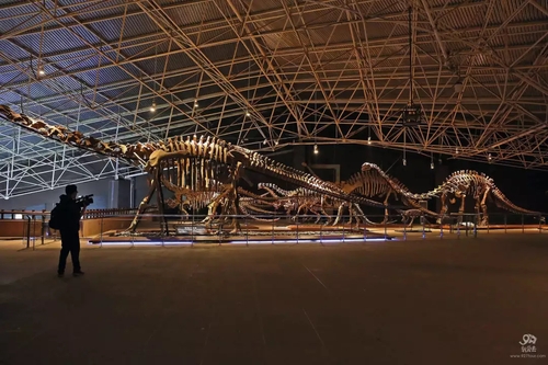 禄丰金山古镇旅游景点,禄丰恐龙谷温泉旅游攻略