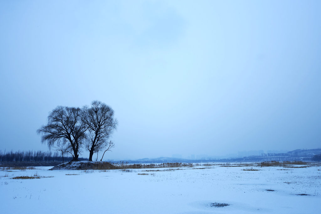 小雪装饰主题墙,小雪装饰装修