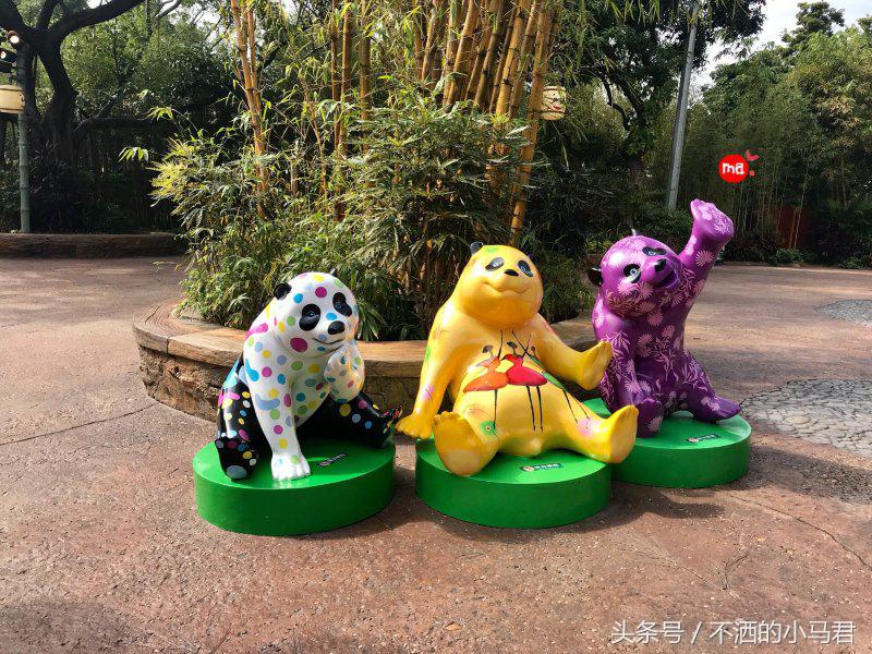 长隆野生动物园3天2晚亲子游,广州长隆野生动物园亲子游攻略