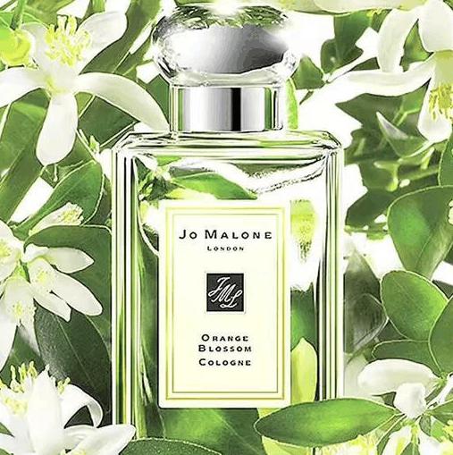 香水推荐斩男香平价,哪款香水最斩男