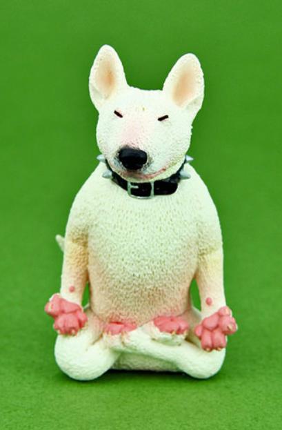 忍者龟玩具2016年版,忍者神龟多纳泰罗模型