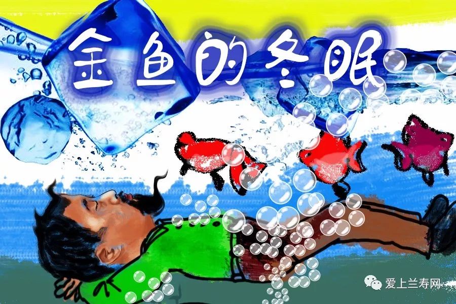 老天聊鱼（第二十一课）说说金鱼冬眠这事儿