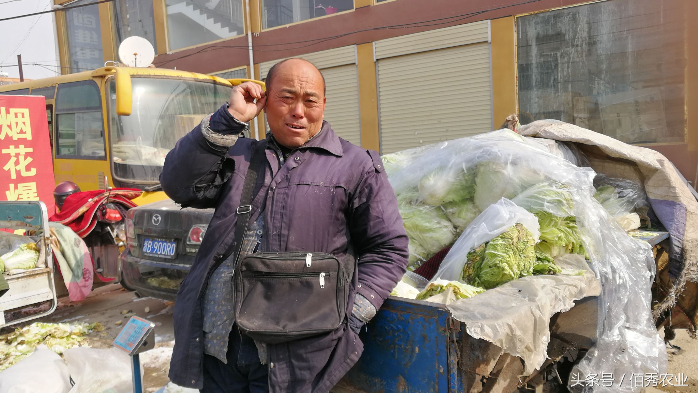 农村人种了10亩大白菜，零卖5毛钱一斤，还有人说卖贵了！